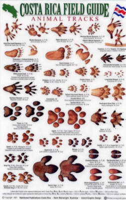 Animal Tracks