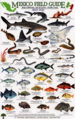 Reef Fish: Baja California - Sea of Cortez - Pacific Coast