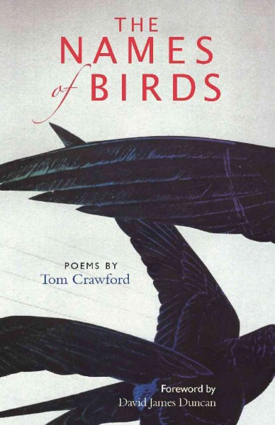 Names of Birds