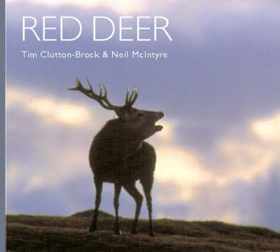 Red Deer