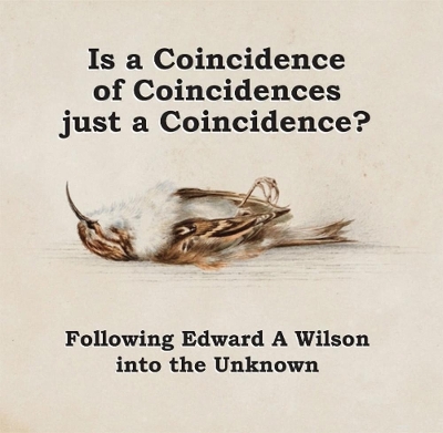 Is a Coincidence of Coincidences just a Coincidence ?: Flowing Edward A Wilson into the Unknown
