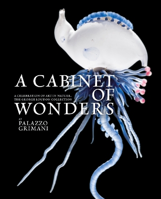 Cabinet of Wonders: A Celebration of Art in Nature at the Palazzo Grimani, Venice