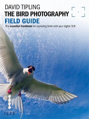 Bird Photography Field Guide