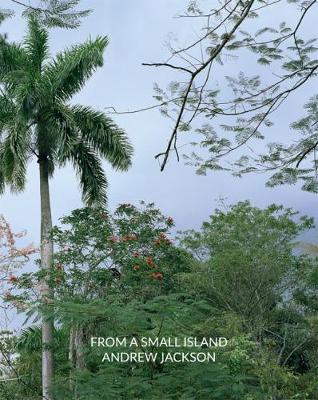 From a Small Island: Andrew Jackson