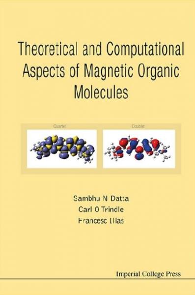 Theoretical and Computational Aspects of Magnetic Organic Molecules