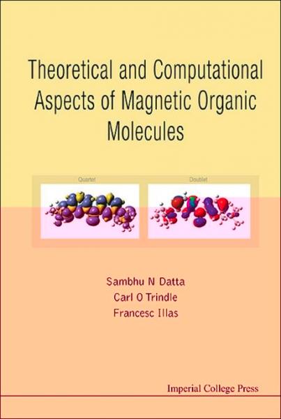 Theoretical And Computational Aspects Of Magnetic Organic Molecules