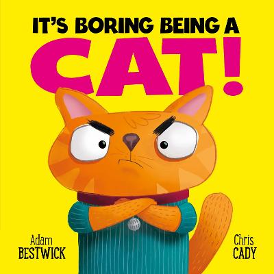 It's Boring Being A Cat