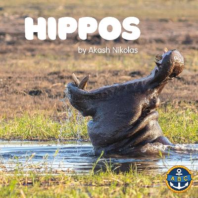 Hippos