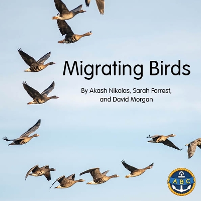 Migrating Birds