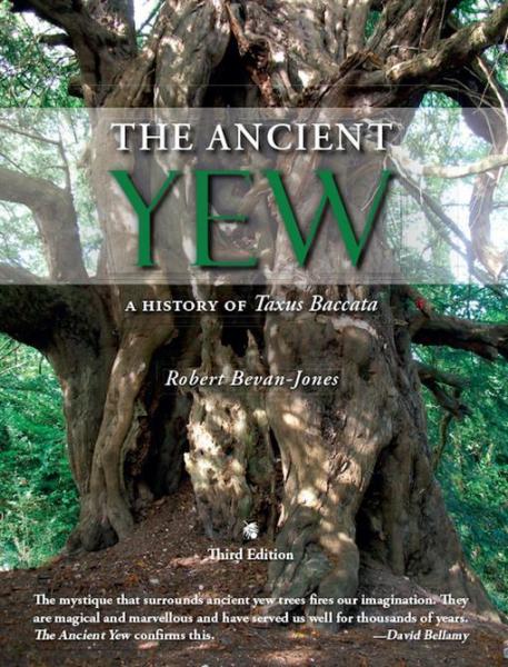 Ancient Yew: A History of Taxus baccata
