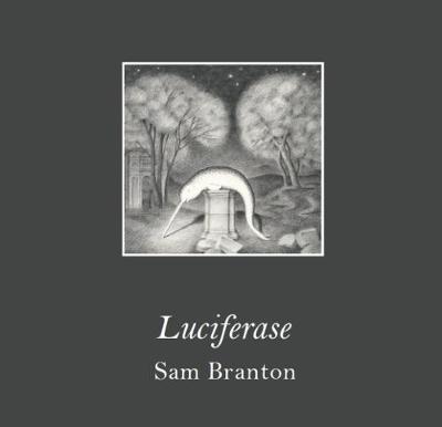 Luciferase