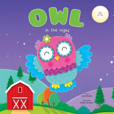 Owl in the night 2020