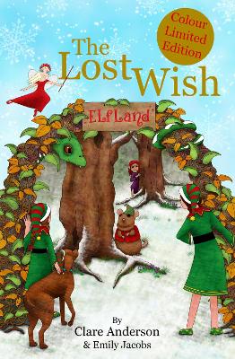Lost Wish