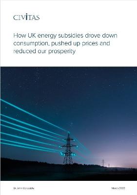 How UK energy subsidies drove down consumption, pushed up prices and reduced  our  prosperity