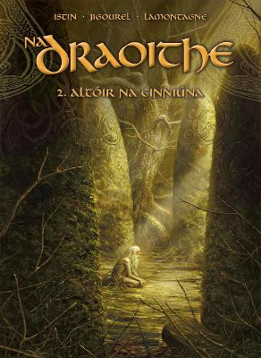 Na Draoithe 2: Altóir na Cinniúna 2025