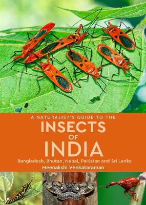 Naturalist's Guide to the Insects of India