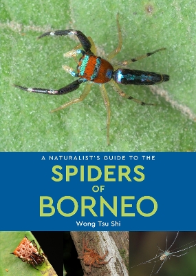 Naturalist's Guide to the Spiders of Borneo