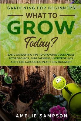 Gardening For Beginners: WHAT TO GROW TODAY? - Basic Gardening Tips To Growing Vegetables,  Hydroponics, Mini Farming, Hydropopnics, and Herb Gardening In Any Environment