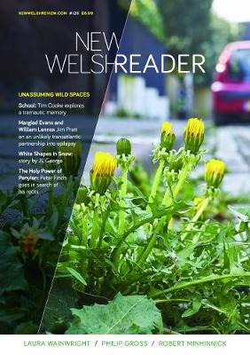 New Welsh Reader: New Welsh Review 125 Winter Edition 2020