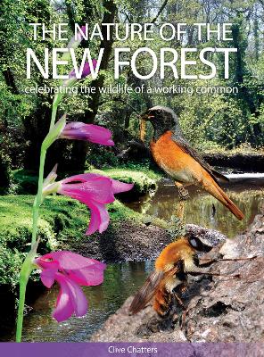 Nature of the New Forest