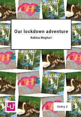 Our lockdown adventure
