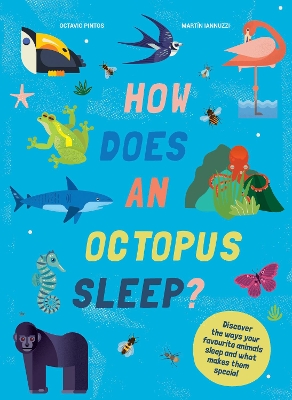 How Does An Octopus Sleep?: Discover the ways your favourite animals sleep and what makes them special