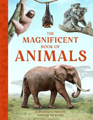Magnificent Book of Animals: JOURNEY INTO THE WILDERNESS TO SEE THE MOST MAGNIFICENT ANIMALS