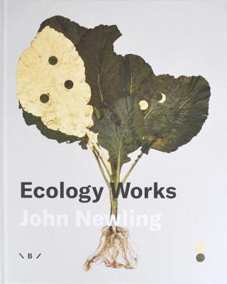 Ecology Works  John Newling