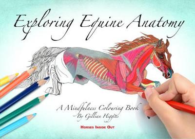 Exploring Equine Anatomy: A Mindfulness Colouring Book