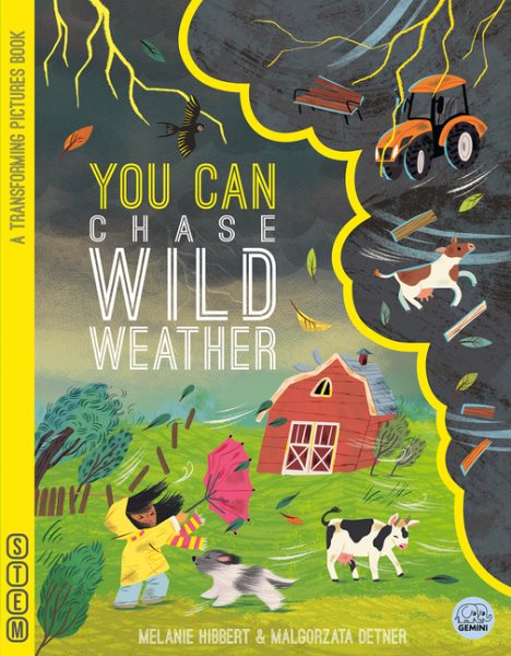You Can Chase Wild Weather BRDBK