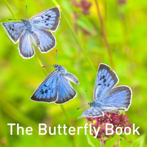 Butterfly Book