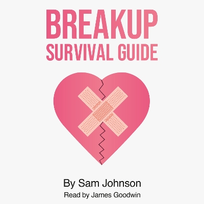 Breakup Survival Guide