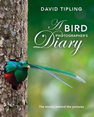 Bird Photographer's Diary