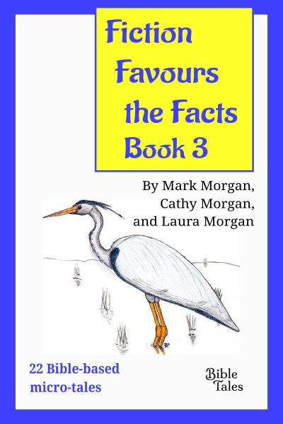 Fiction Favours the Facts - Book 3: Yet another 22 Bible-based micro-tales