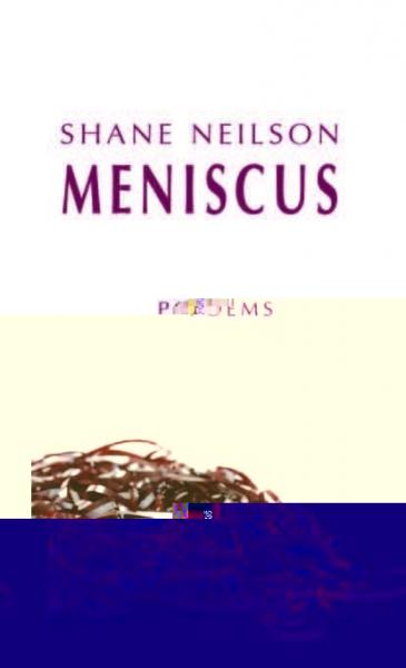 Meniscus