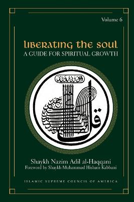 Liberating the Soul: A Guide for Spiritual Growth, Volume Six
