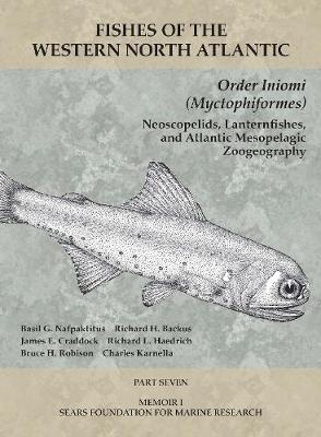 Order Iniomi (Myctophiformes): Part 7