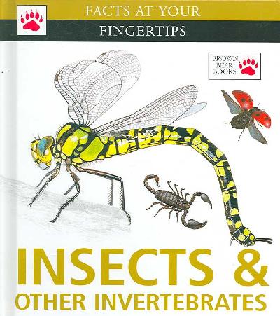 Insects & Other Invertebrates