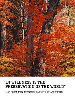 In Wildness is the Preservation of the World