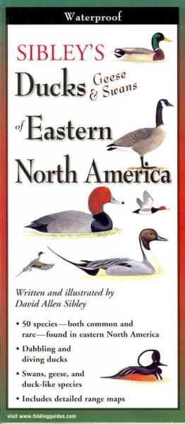 Sibley's Ducks, Geese, and Swans of Eastern North America