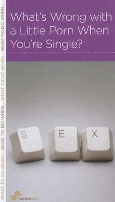 What's Wrong with a Little Porn When You're Single?