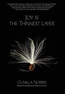 Joy Is the Thinnest Layer