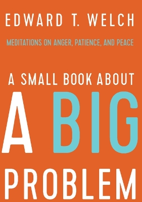 Small Book about a Big Problem: Meditations on Anger, Patience, and Peace