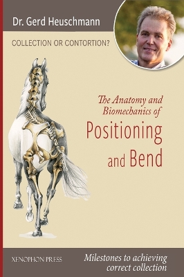 Collection or Contortion: The Anatomy and Biomechanics of Positioning and Bending: Milestones to  achieving correct collection