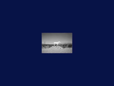 Prophetic Kingdom: Autopsis