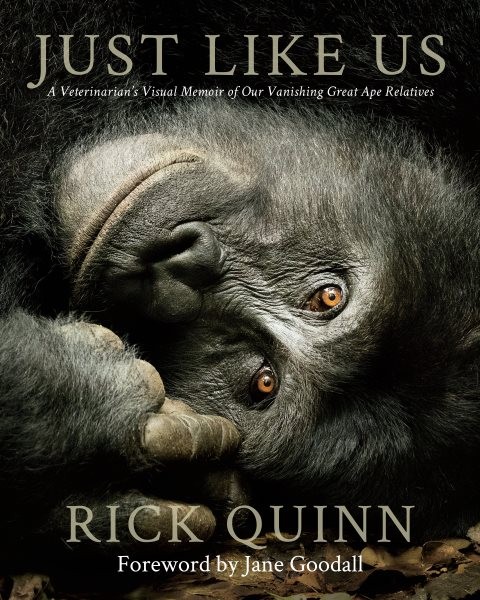 Just Like Us: A Veterinarian's Visual Memoir of Our Vanishing Great Ape Relatives