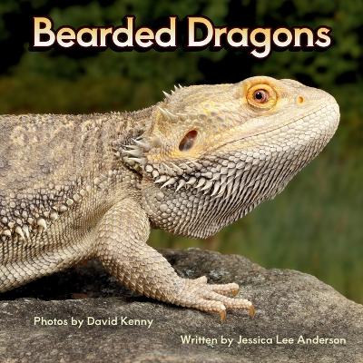 Bearded Dragons