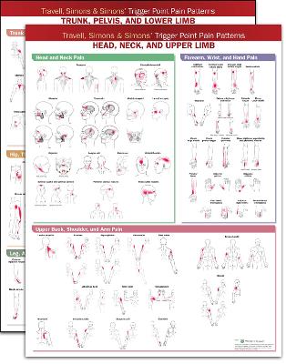 Travell, Simons & Simons Trigger Point Pain Patterns Wall Charts Package 2nd edition
