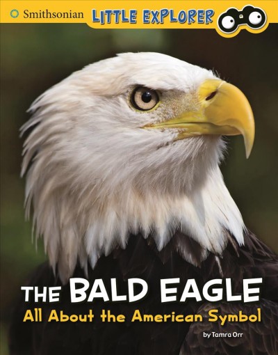 Bald Eagle: All about the American Symbol