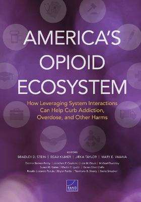 America's Opioid Ecosystem: How Leveraging System Interactions Can Help Curb Addiction, Overdose, and  Other Harms